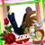 Fani Rodarte's profile image