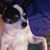 Debbie Scott's profile image