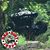 Chris Indy Watham's profile image