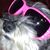 Nancy Johnson's profile image