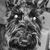 Annette Evenson's profile image