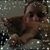 Laura Pierson's profile image