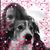 Jessica Ross's profile image