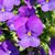 Krysia Vincenty Moore's profile image