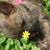 Marianne Allshouse Spooner's profile image