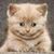 William Mohney Sr.'s profile image