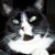Tony Hedberg's profile image