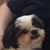 Brenda Wurst's profile image