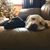 Emelia Hedstrom's profile image