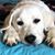 Christa Curtis-Rhoads's profile image