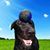 Christie Meister's profile image