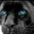 George Lytle Sr.'s profile image