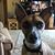 Ellen Schneider-heulitt's profile image