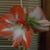 Rebecca Neibarger's profile image