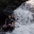 Melissa Miller Bilka's profile image
