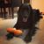 Marie-Christine Stanzione's profile image