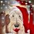 Deb Belznan's profile image