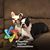 Tabitha Steponik's profile image