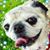 Annelie Gallea's profile image