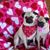 Dianne Miller's profile image