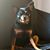 Veronica Garcia Mestre's profile image