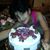 Hani Alkiswani's profile image