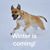 Kimberly Franklin Reinhardt's profile image