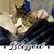 Dorraine Kerber's profile image