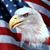 Jon Borkowski's profile image