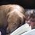 Lynne Sylvester's profile image