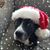 Erin Thompson-Silcox's profile image