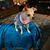Nancy Morrow's profile image