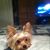 Brandy Gudgel's profile image