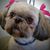 Edie Carithers Alewine's profile image