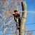 Matthew Kyle Mitchell's profile image