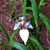 Candy Garman's profile image