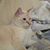 Michelle Anderson Holden's profile image