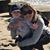 Brandi Sadler Mitchell's profile image