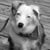 Beth Ellis's profile image