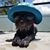 Susan Gardner's profile image