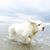 Sarah Bulwinkle's profile image