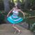 Lauren Freeman's profile image