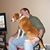 Chris Ramey's profile image