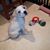 Deb Antonio-Thomas's profile image
