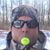 Robert Groszewski's profile image
