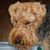 Danny Talmage's profile image