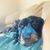 Jennifer Riley Evans's profile image