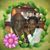 Shinisha Reid's profile image