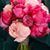 Lisa Leach-Herold's profile image