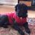 Lisa Mattila's profile image